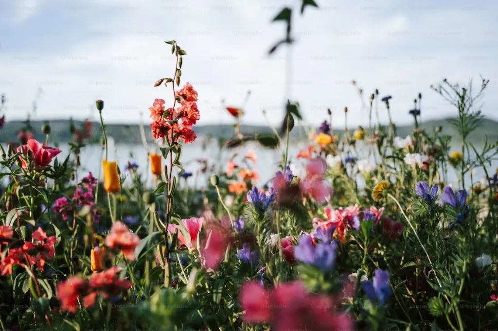 คลังหัวน้ำหอมกลุ่ม กลุ่ม Floral สำหรับแบรนด์น้ำหอม
